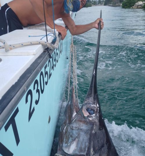 18sportfishingtulum(984)-801-0188