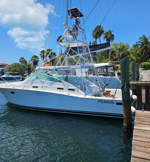 SPORT FISHING TULUM 6